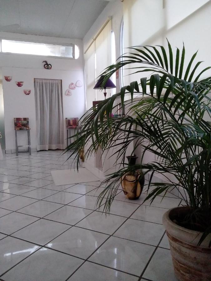 Boutique Basic Hotel ปูแอร์โตบาญาร์ตา ภายนอก รูปภาพ